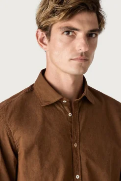 Flash Sale CANARY Shirts