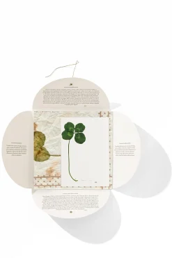 Clearance HANKY1 Handkerchiefs