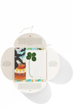 Cheap HANKY1 Women Handkerchiefs|Gifts For Her