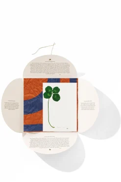 Fashion HANKY1 Handkerchiefs