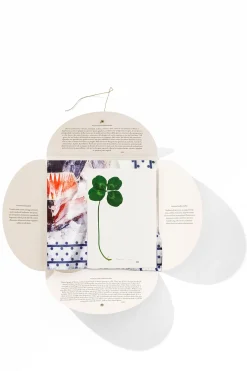 Store HANKY1 Handkerchiefs