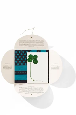 Hot HANKY1 Handkerchiefs
