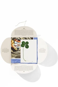 Online HANKY1 Handkerchiefs