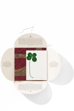 Hot HANKY1 Handkerchiefs