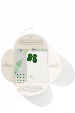 Online HANKY1 Handkerchiefs