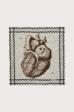 New HANKY1 Handkerchiefs