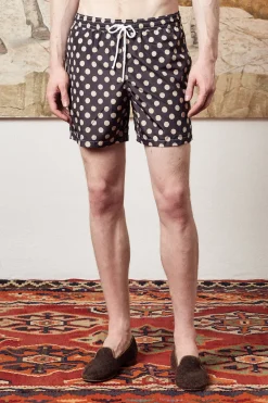 Hot KITE Swimwear